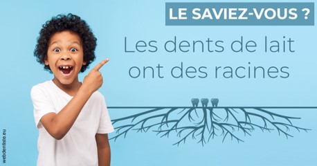 https://dr-sadoul-frederic.chirurgiens-dentistes.fr/Les dents de lait 2