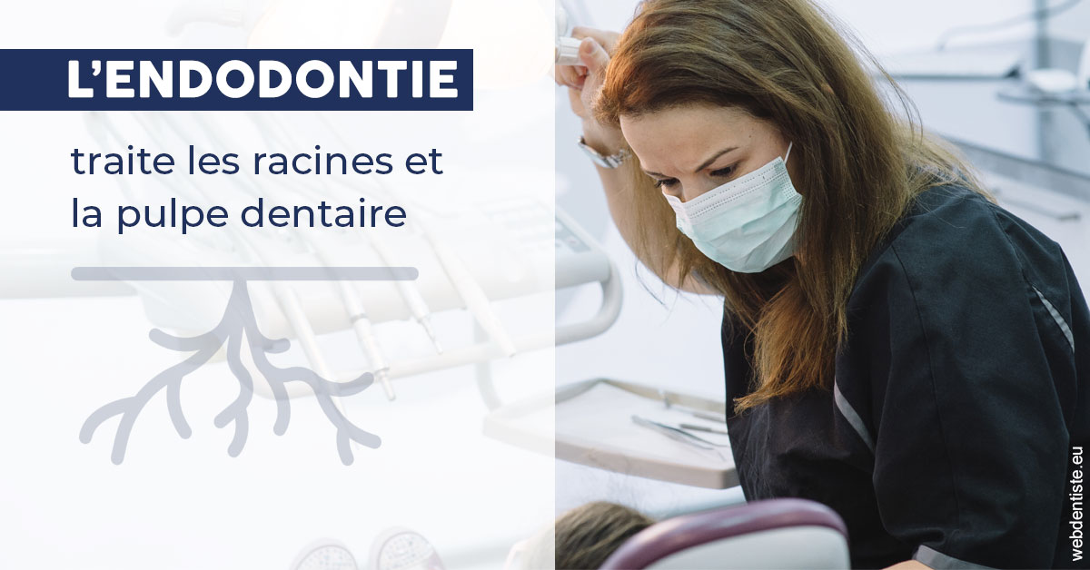 https://dr-sadoul-frederic.chirurgiens-dentistes.fr/L'endodontie 1
