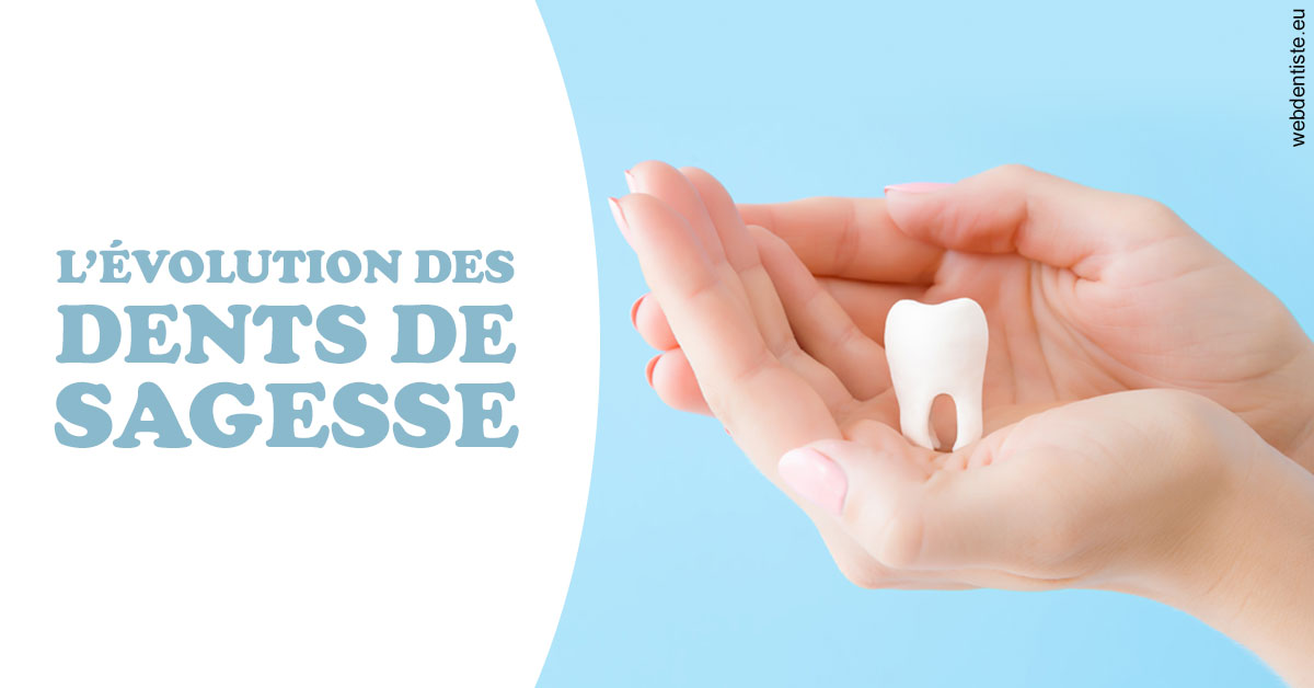 https://dr-sadoul-frederic.chirurgiens-dentistes.fr/Evolution dents de sagesse 1
