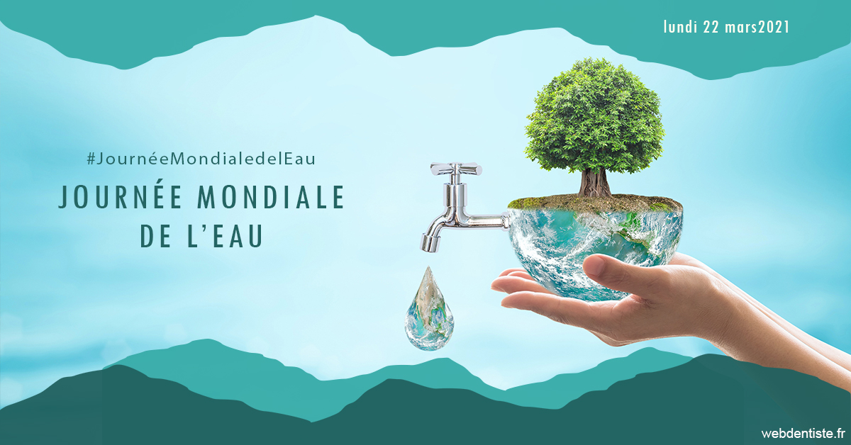 https://dr-sadoul-frederic.chirurgiens-dentistes.fr/Journée de l'eau 1