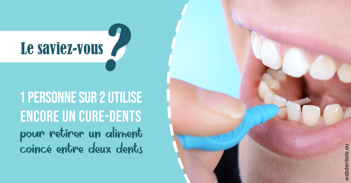 https://dr-sadoul-frederic.chirurgiens-dentistes.fr/Cure-dents 1