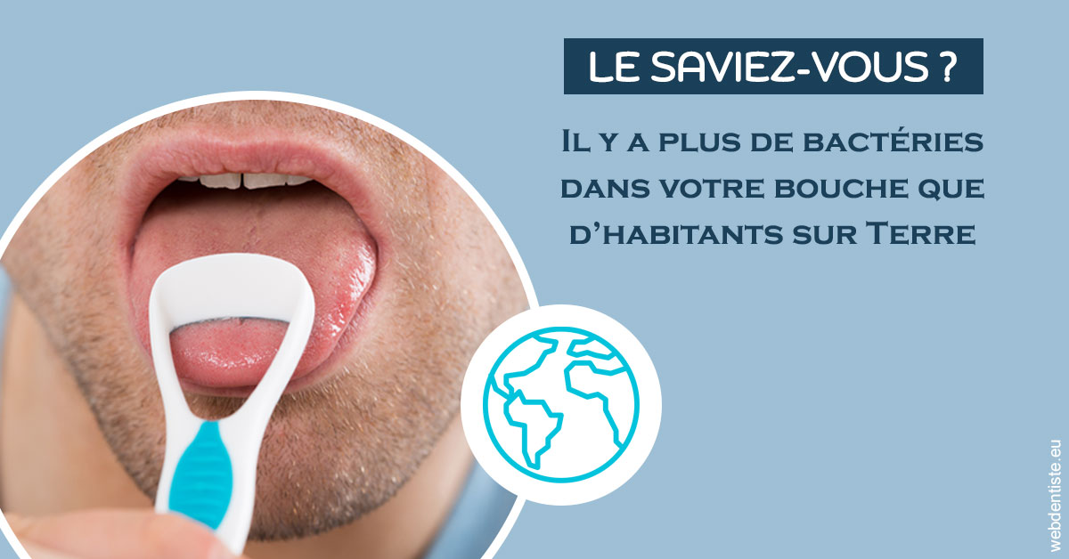 https://dr-sadoul-frederic.chirurgiens-dentistes.fr/Bactéries dans votre bouche 2