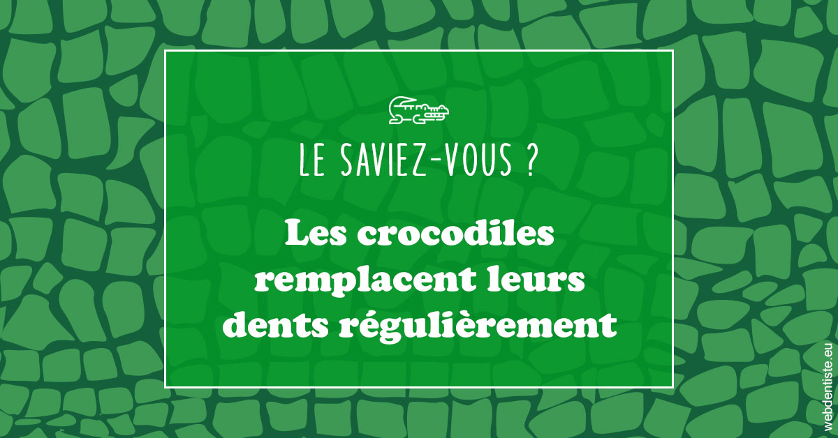 https://dr-sadoul-frederic.chirurgiens-dentistes.fr/Crocodiles 1